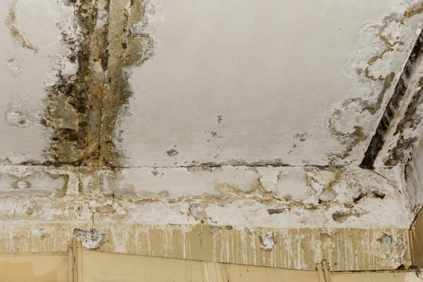 Best Emergency water damage restoration  in Pocola, OK